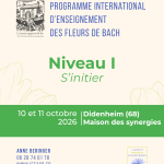 Formation fleurs de Bach niveau 1 agréée par le Centre Bach - Didenheim - octobre 2026 2
